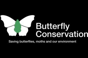 Fife Butterfly Conservation
